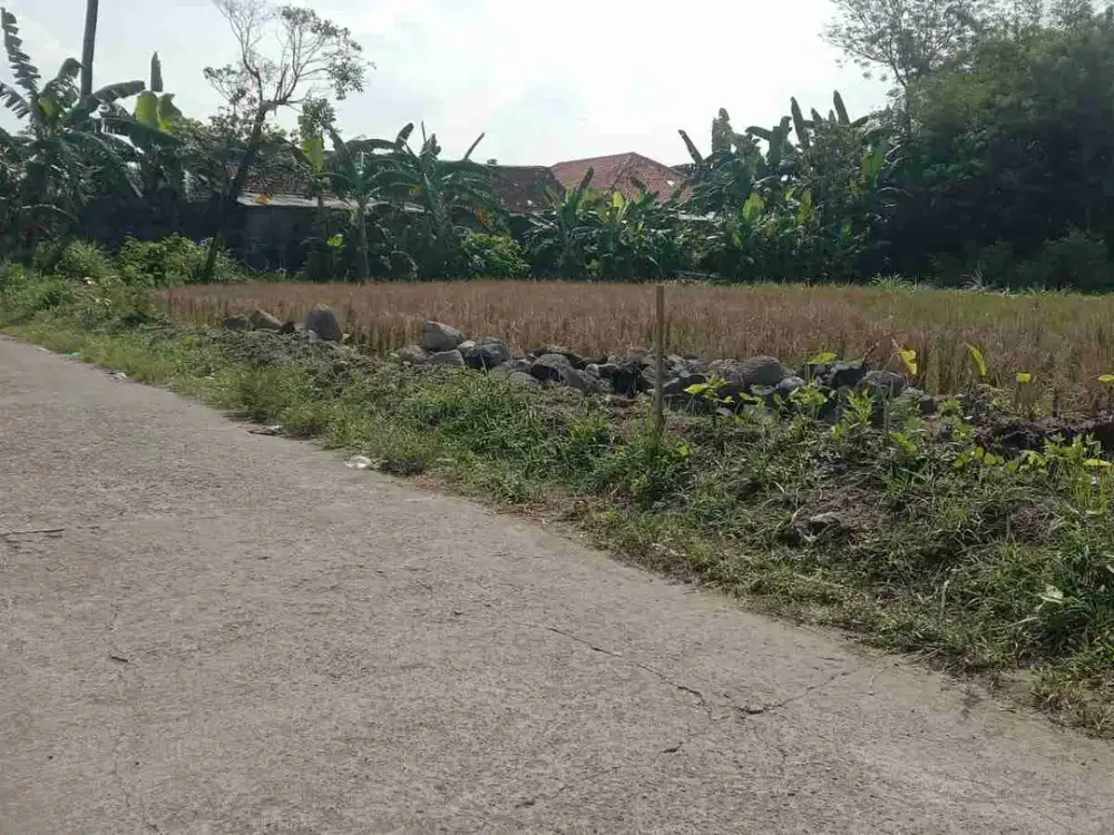 DIJUAL Tanah SHM Sawah Istimewa 
Utara Pasar Sidorejo Kalasan
Di Selomartani Kalasan Sleman