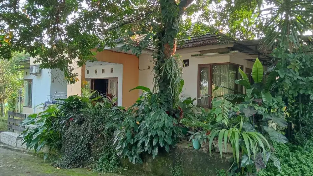 Rumah Asri, Luas tanah 465m2