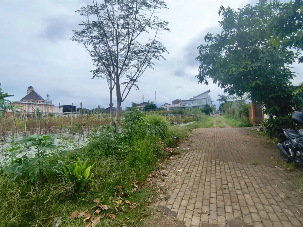 Tanah 500 Juta an Kota Malang Cocok Untuk Kost dekat UB Brawijaya