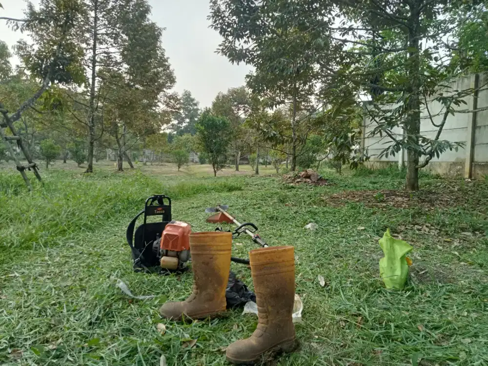 Jasa potong rumput
