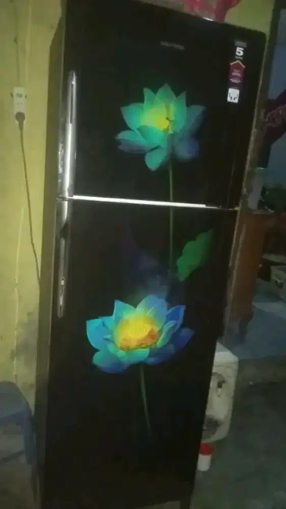 kulkas 2 pintu Polytron