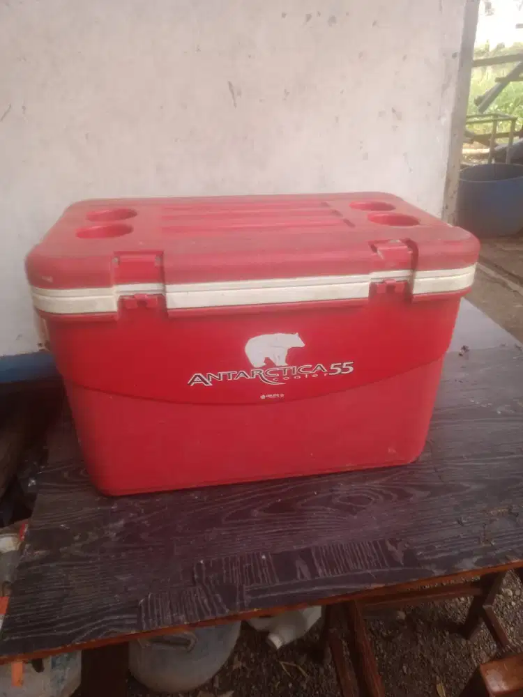 Cooler box lionstar antartic55