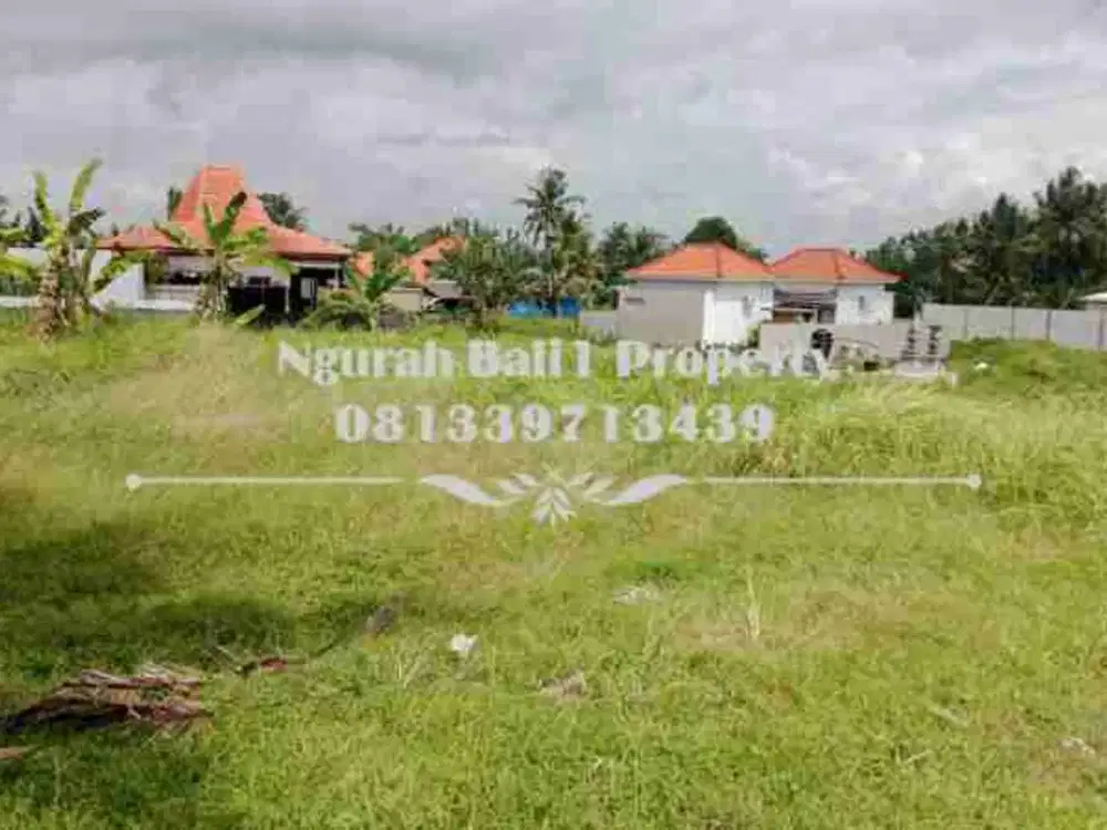 Tanah Murah Disewakan Luas 300 m2 View Sawah Kawasan Villa Ubud