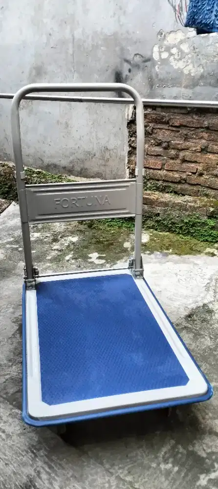 Troli 150 kg Merk Fortuna