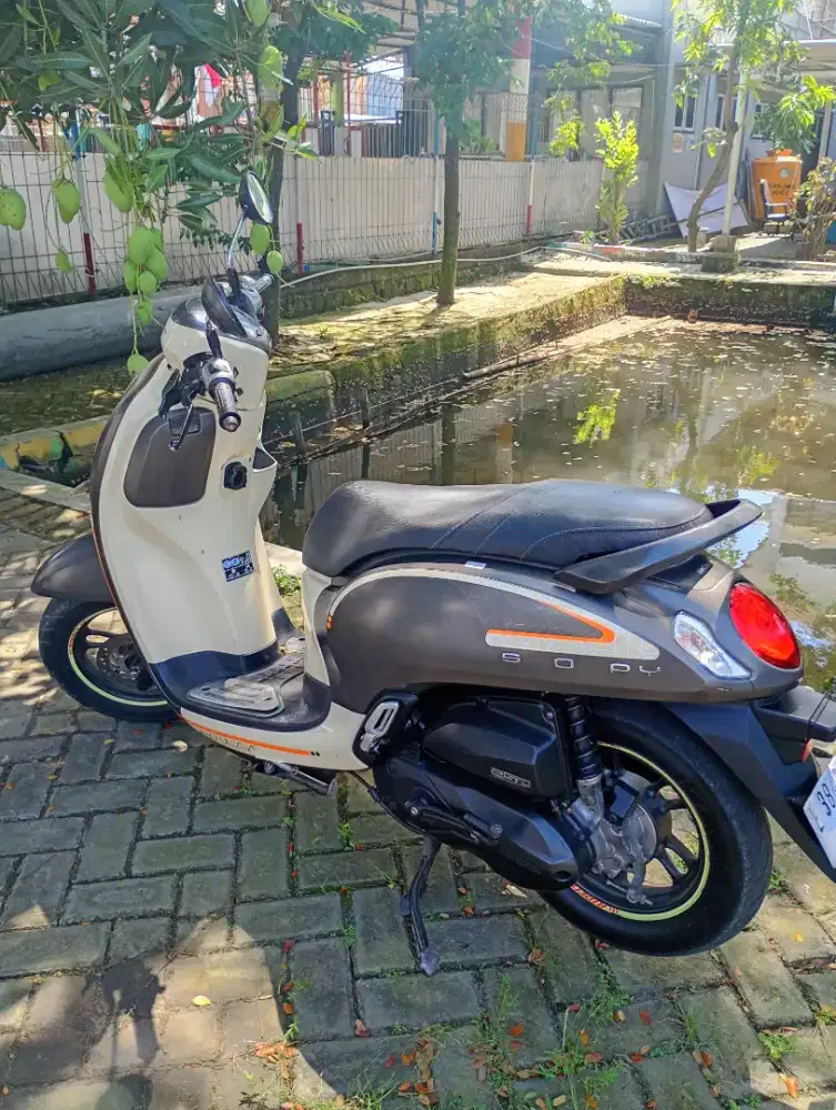 Scoopy 2022 Plat L