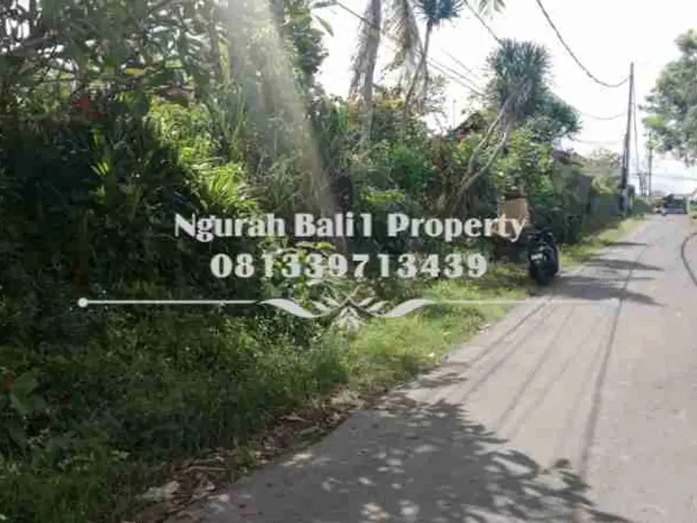 Tanah Murah Disewakan Luas 9 Are Kawasan Villa di Sayan Ubud