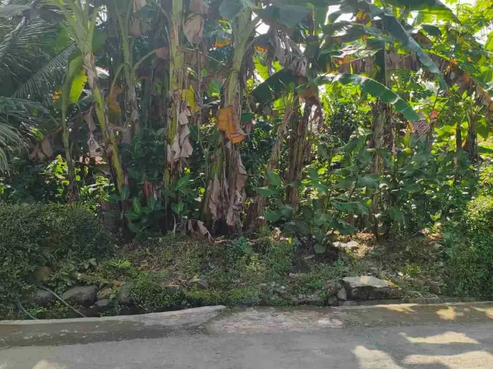 Tanah kosong hook Rancamaya Cilongok Banyumas