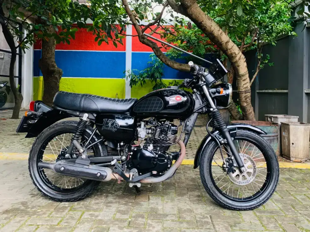 Kawasaki w175 se