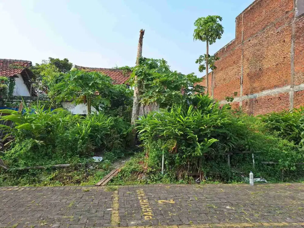 Tanah Perum Ikan Gurami Luas 254
