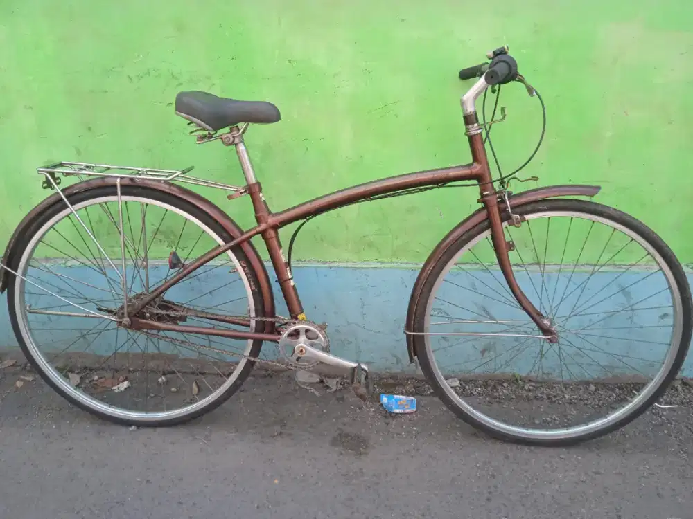 Sepeda vintage classic national