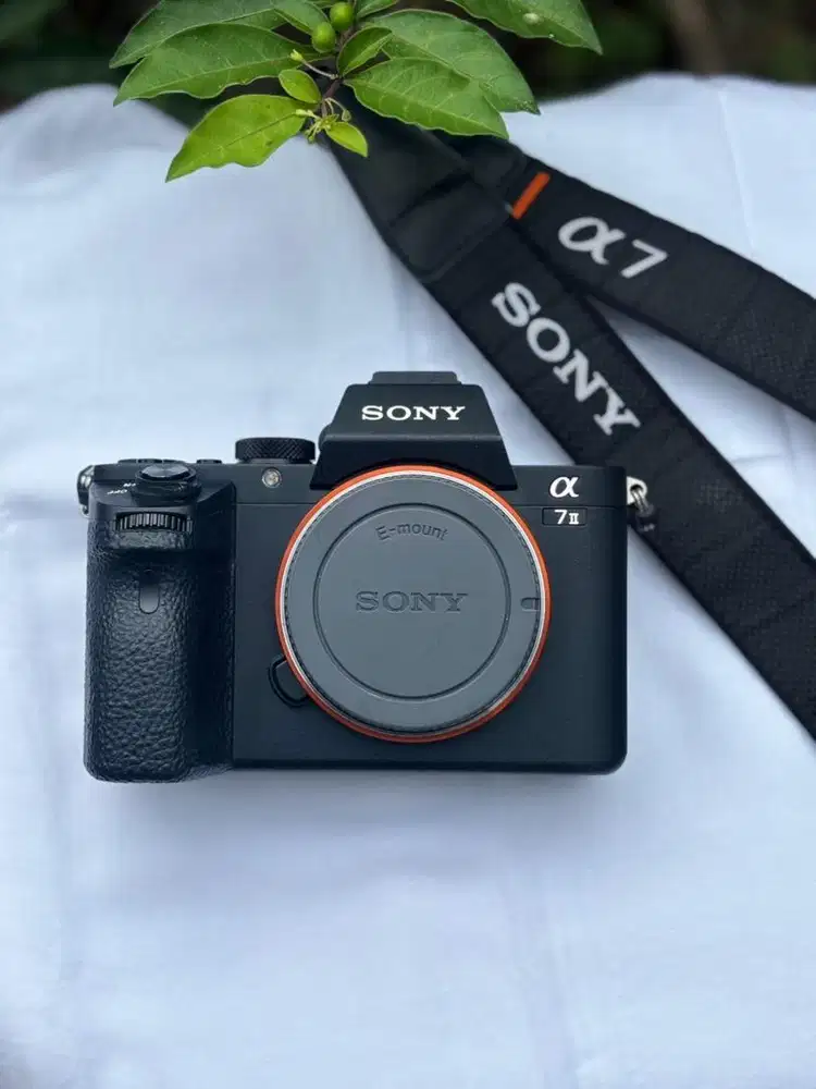 Sony A7II Body Only Like New SC 12rb - Low Shutter Count Bali