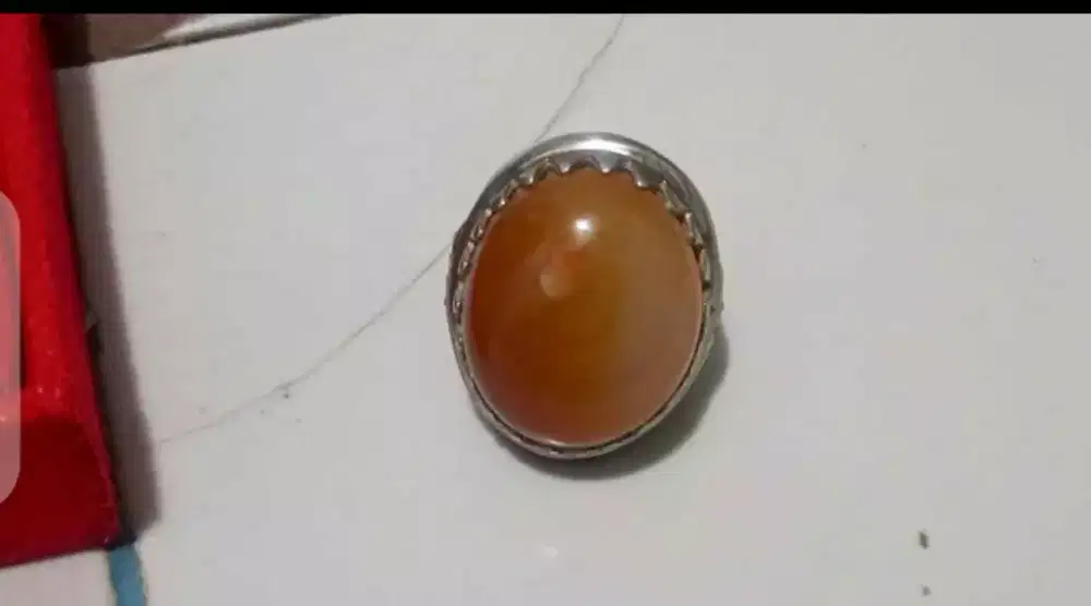 Dijual cepat Batu raflesia bengkulu ( butuh uang)