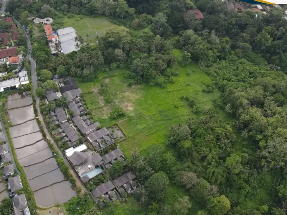 Di Jual Tanah Murah Area Ubud Zona Pink, Siap Bangun
