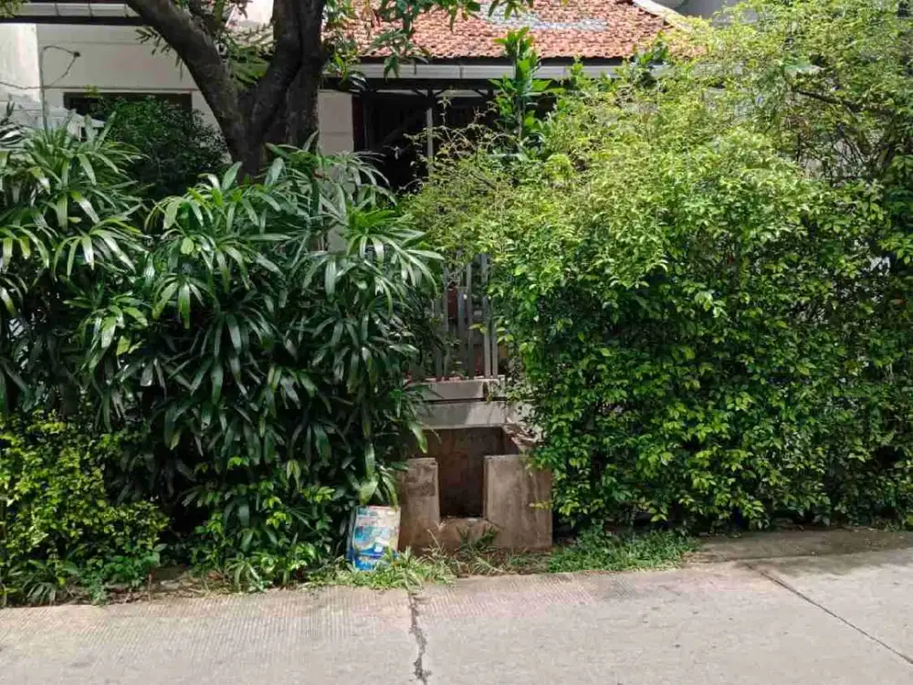 Mampang Prapatan Rumah Siap Huni Cocok Untuk Kost Bebas Banjir