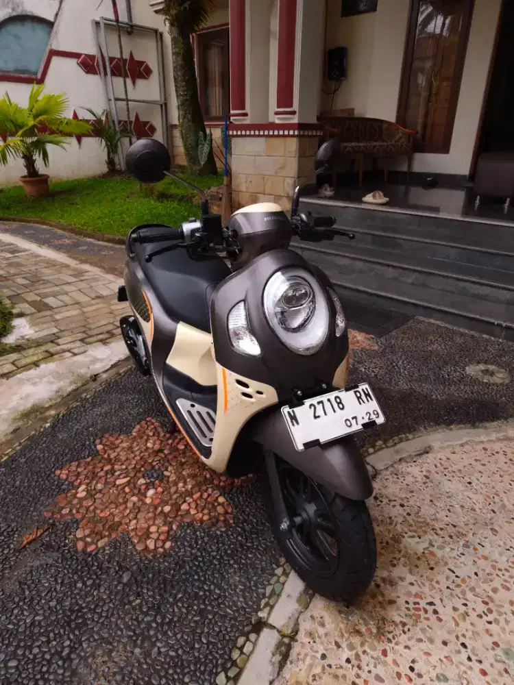 Jual scoopy fashion 2024