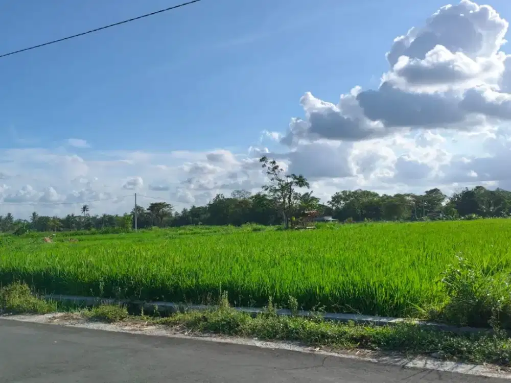 DIJUAL SAWAH STARTEGIS KRANGGAN, MANISRENGGO, KLATEN