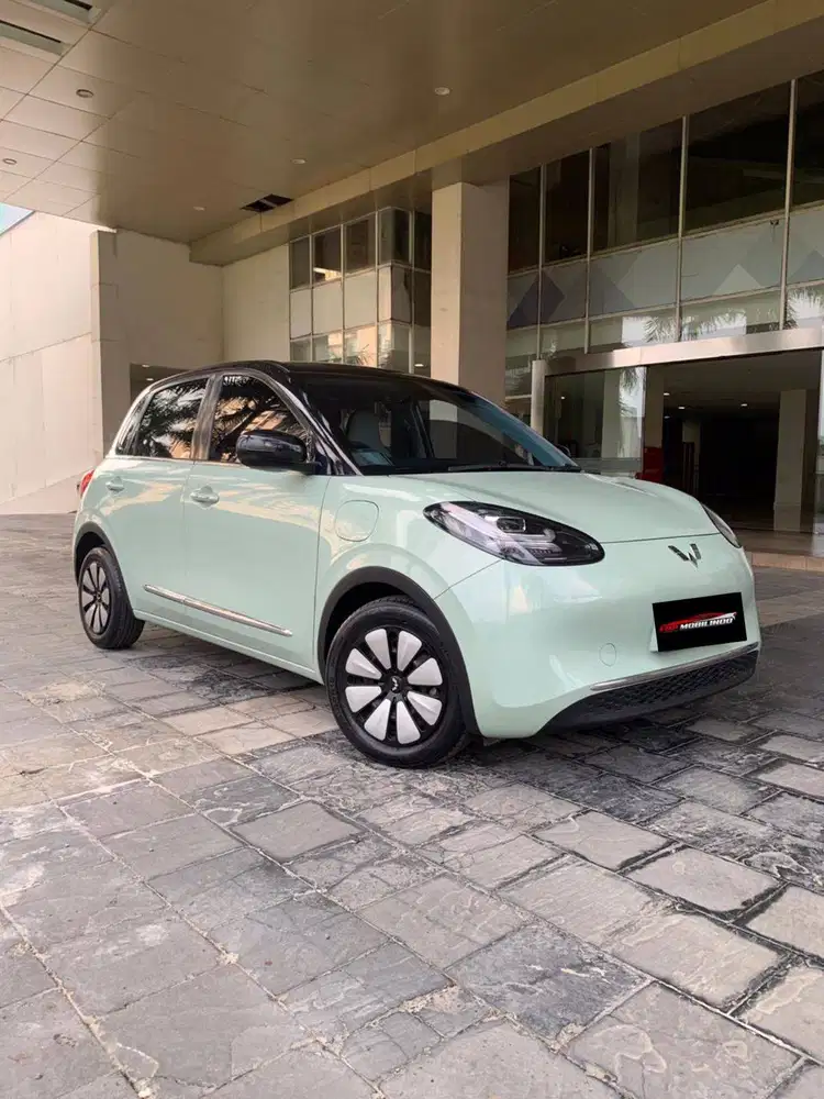Binguo EV Premium Range 410km 2024