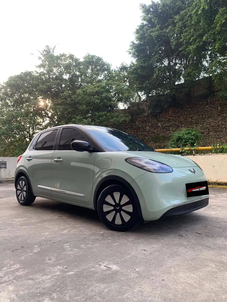 Wuling Binguo EV Premium Range 410km 2024
