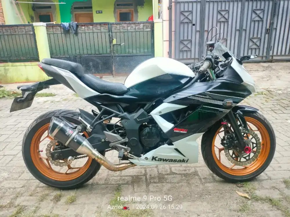 Ninja 250 RR mono ABS