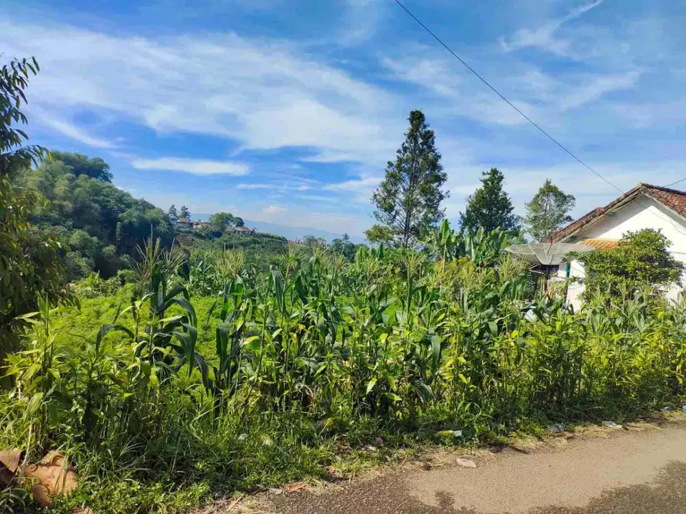 di jual tanah pinggir jalan vew gunung gede
