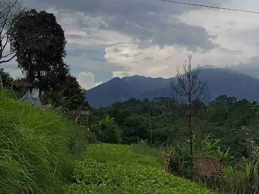 di jual tanah berupa sawah produktif bisa buat villa vew gunung air mengalir