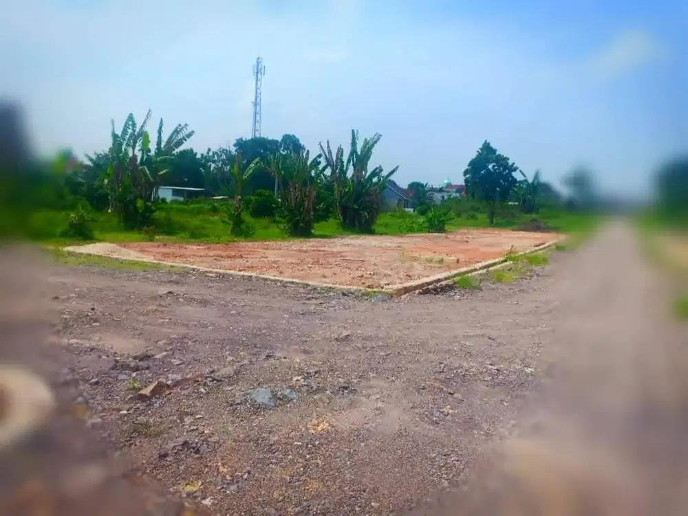 EXKLUSIF DI TANJUNG SENANG WAYKANDIS! KAVLING DP MURAH BEBAS RIBA
