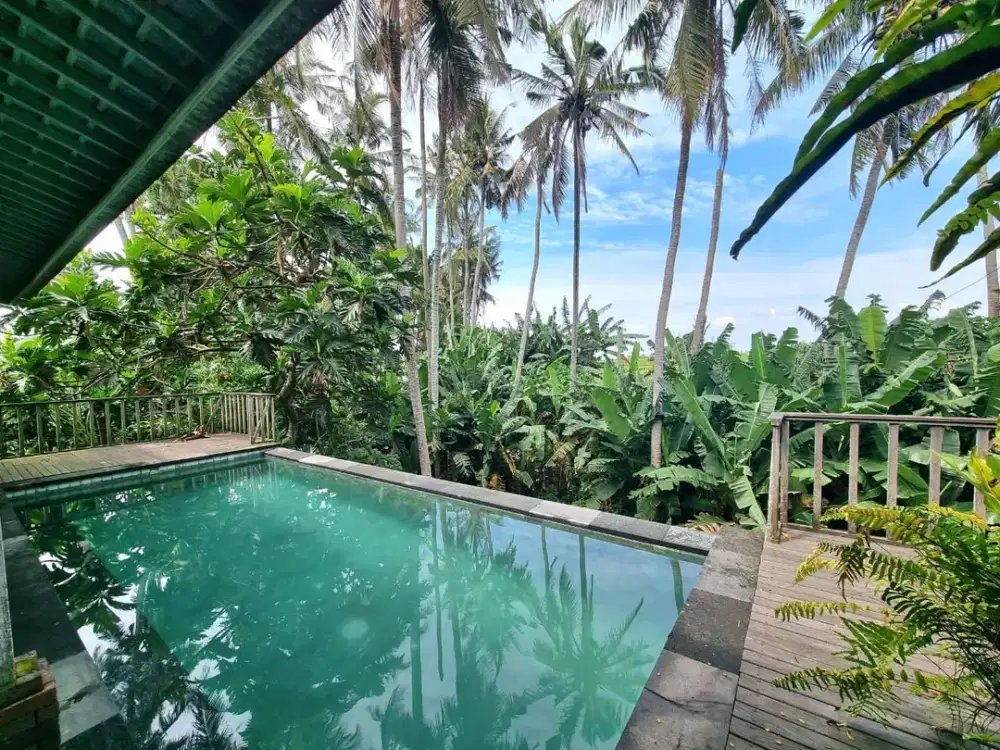Jual Villa Pemandangan Sawah Dan Sungai Lokasi Di Jln. Pantai Purnama, Gianyar, Bali.