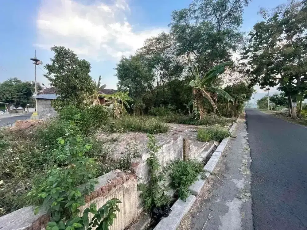 DIJUAL MURAH TANAH DI MOJOKERTO