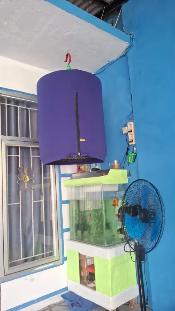 Tt burung prestasi