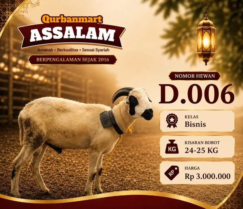 Hewan qurban murah mulai 2jtan
