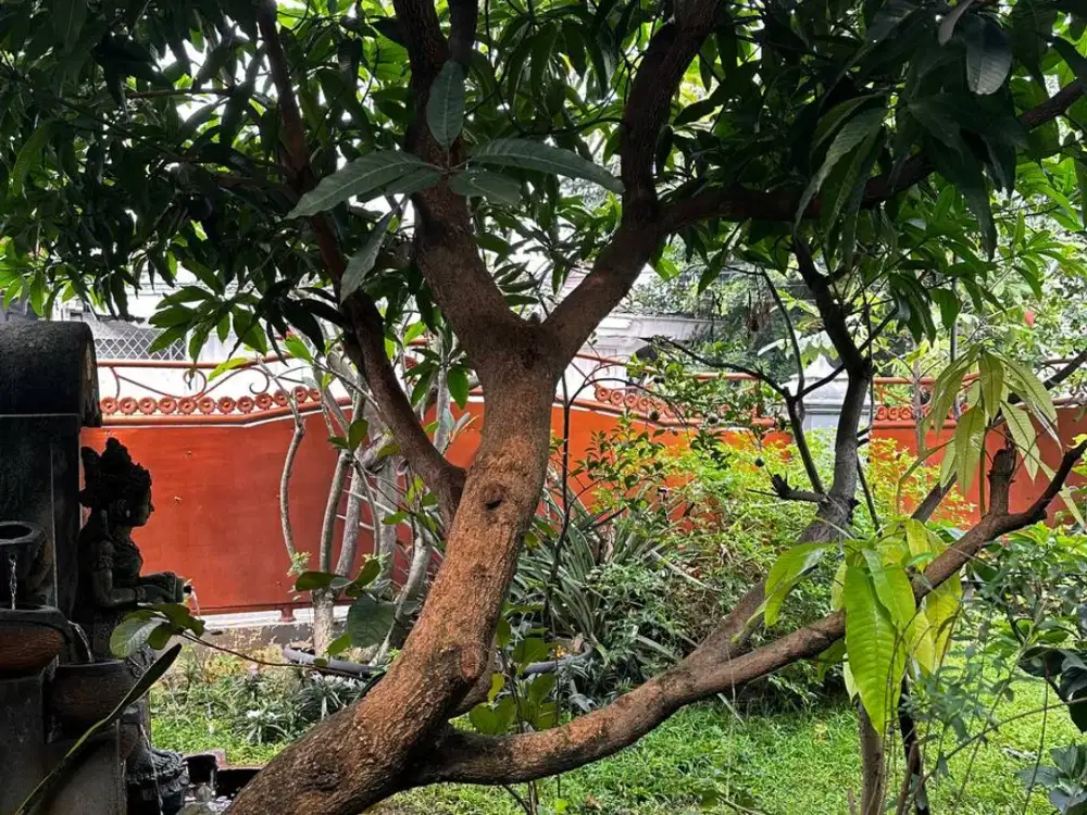 Rumah Lux Komplek Elang Malindo Jatiwaringin Cipinang Melayu Jakarta Timur