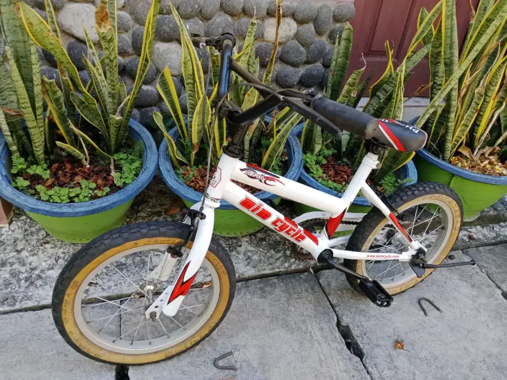 Sepeda anak ukuran 16 warna putih