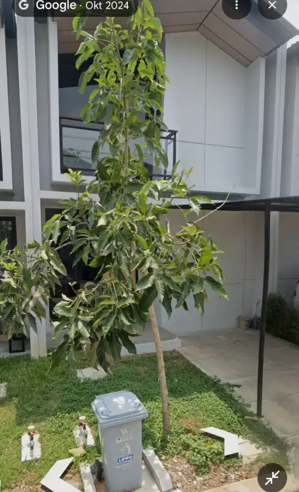 Disewakan rumah uptown Lippo Cikarang