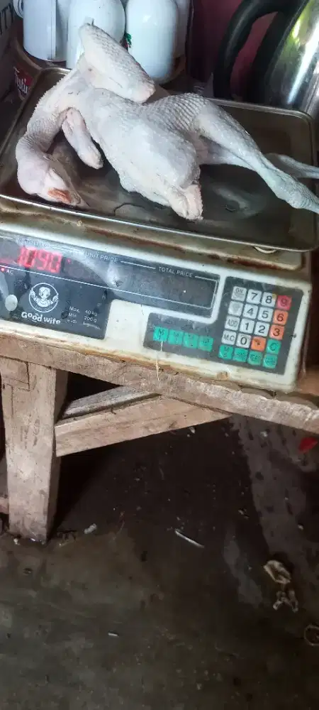 Ayam kampung karkas ukuran 1 kg