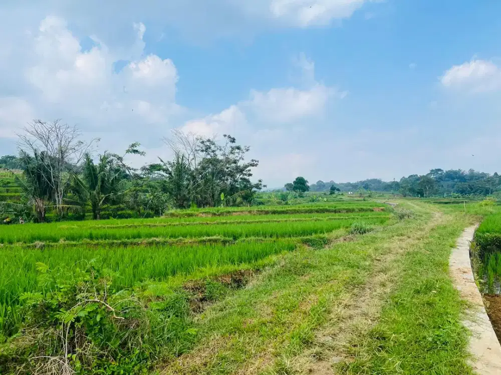 Tanah Subur 1050m² Irigasi Mudah Karanganyar