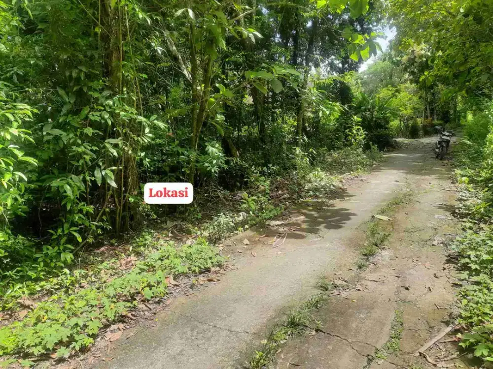 Dijual Tanah Murah di srikayangan Sentolo Kulon Progo