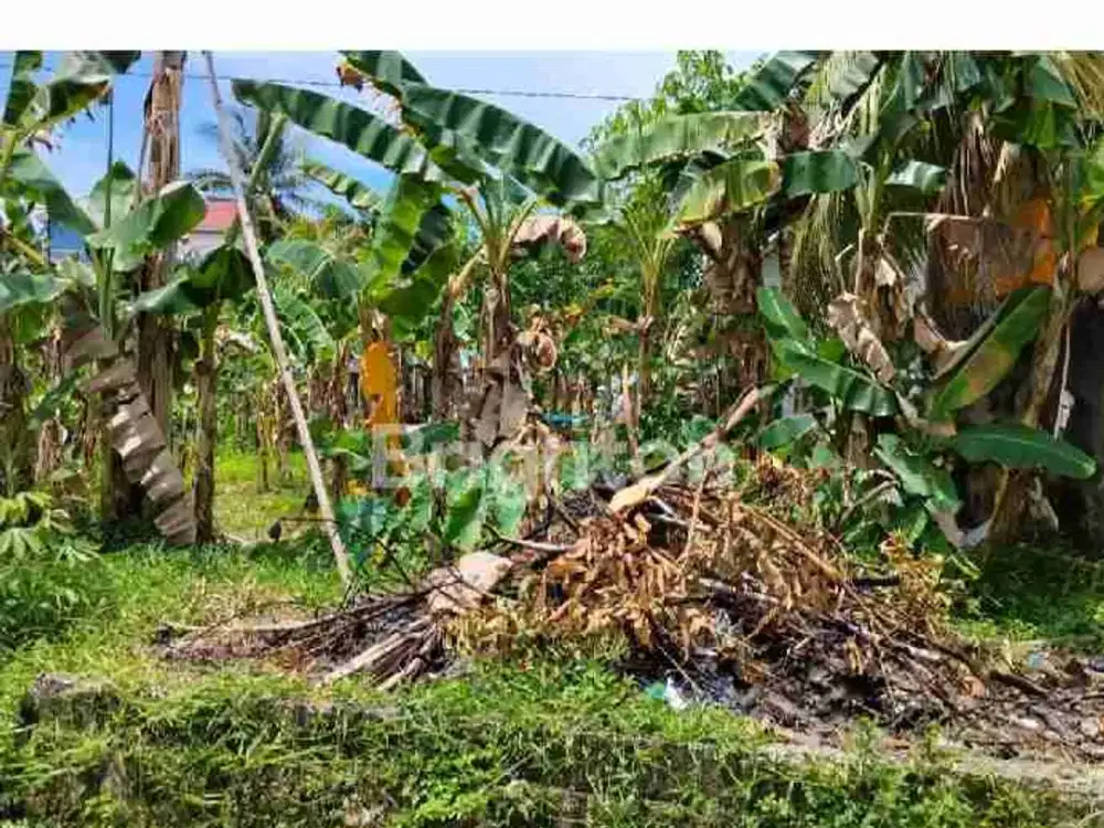 DIJUAL TANAH STRATEGIS LOKASI DEPAN JALAN COR PERUMAHAN COCOK DIBANGUN RUMAH, KONTRAKAN DAN KOS²AN LOKASI SEPINGGAN HARGA NEGO