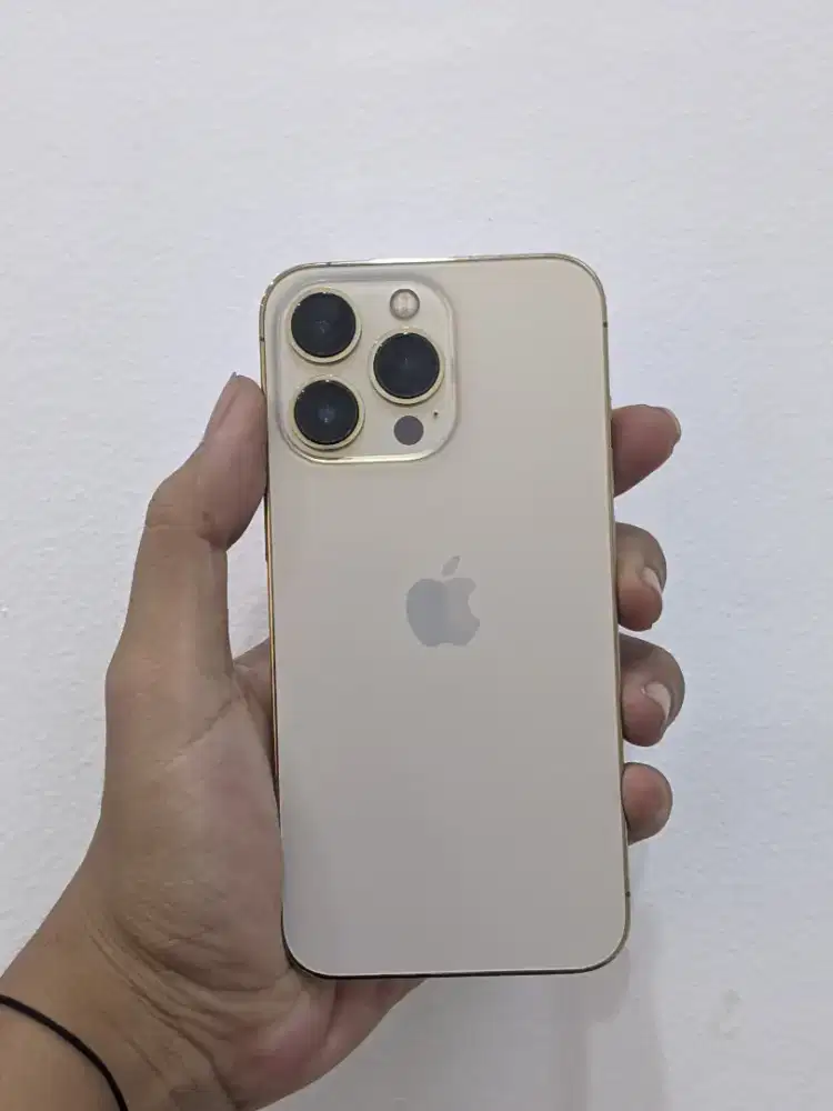 Iphone 13 pro 256GB beacukai