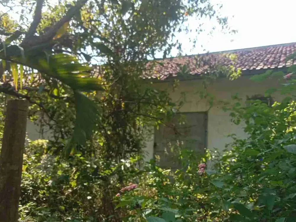 Dijual Tanah di seberang Pasar Lasem, Jawa tengah. Kab  Rembang