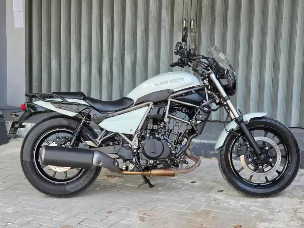Moge Cruiser Kawasaki