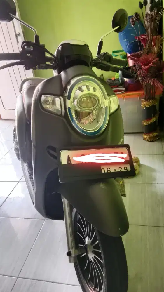 Motor scoopy 2019