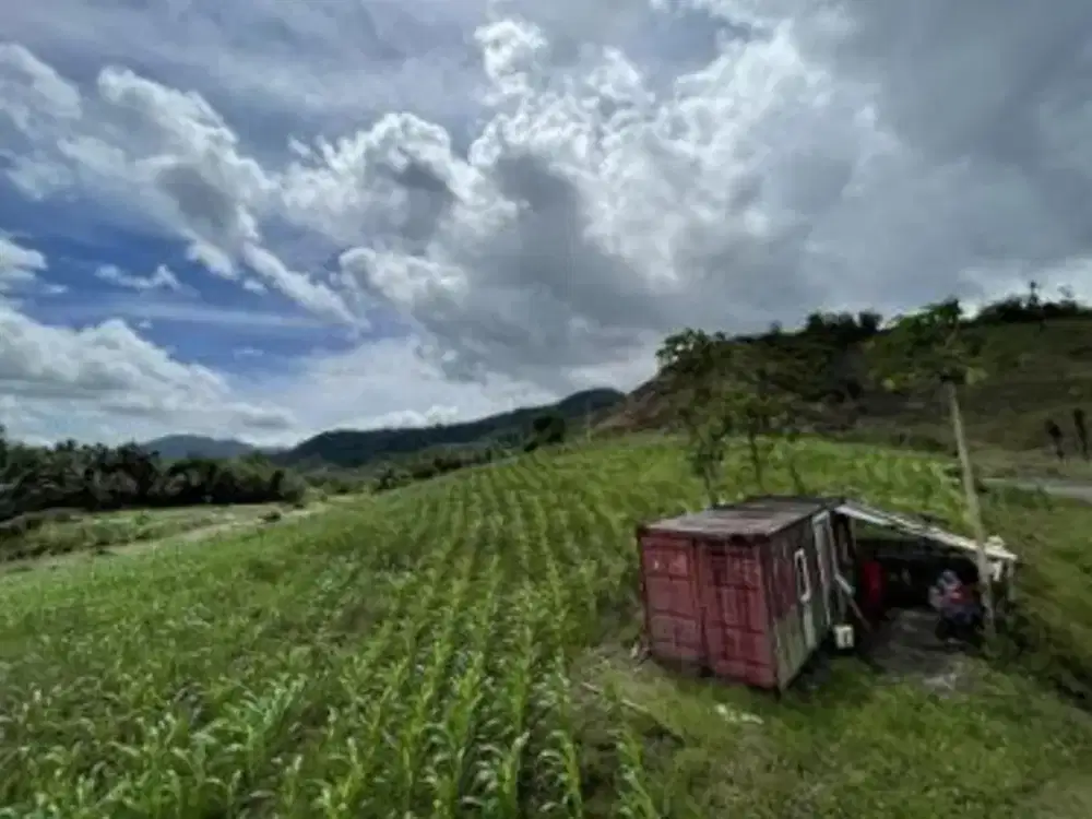 Dijual Perkebunan Seluas 19.962 m2 di Totabuan - Sulawesi Utara