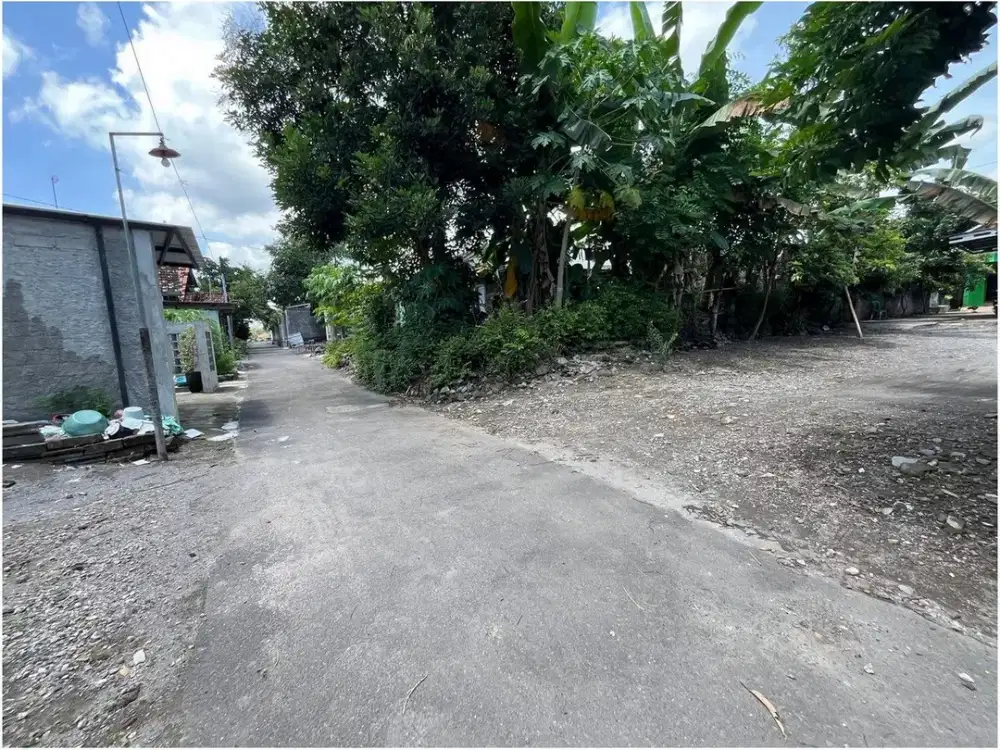 Dekat Candi Plaosan Dijual Tanah Jogja Jl. Solo-Jogja