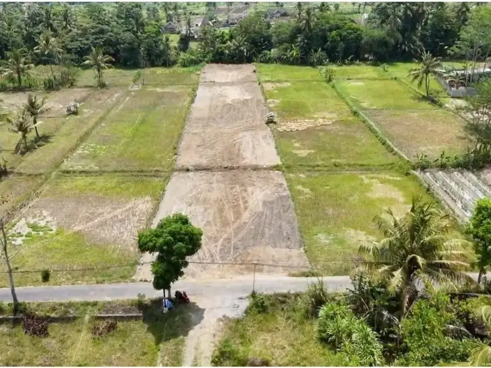 Tanah Jogja Dijual di Jl. Kembangan-Rejodani Dekat Pasar Umbul