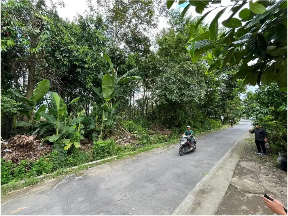 Dijual Tanah Jogja di Tirtomartani Dekat Candi Sewu