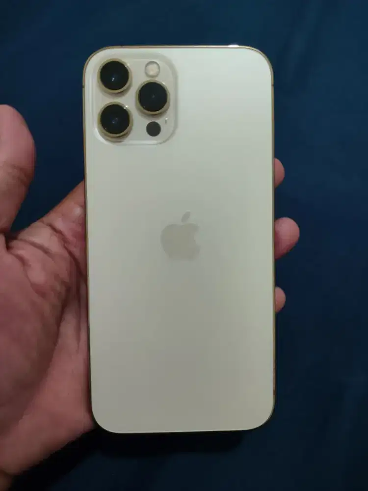 iPhone 12 Promax 128gb unit only ex grs resmi iBox siap pakai nett