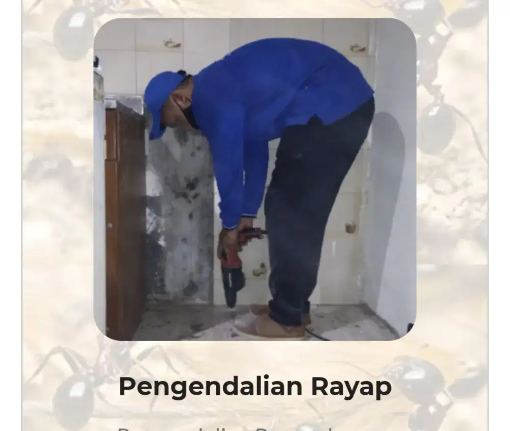 Jasa anti rayap depok