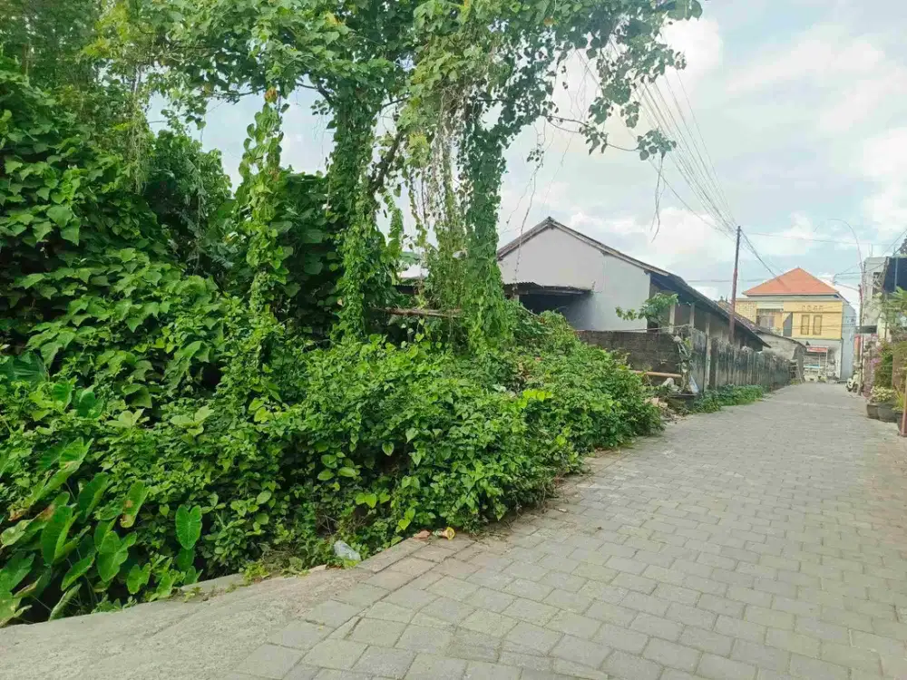 termurah!! buc tanah penatih 26 are di jual view sawah