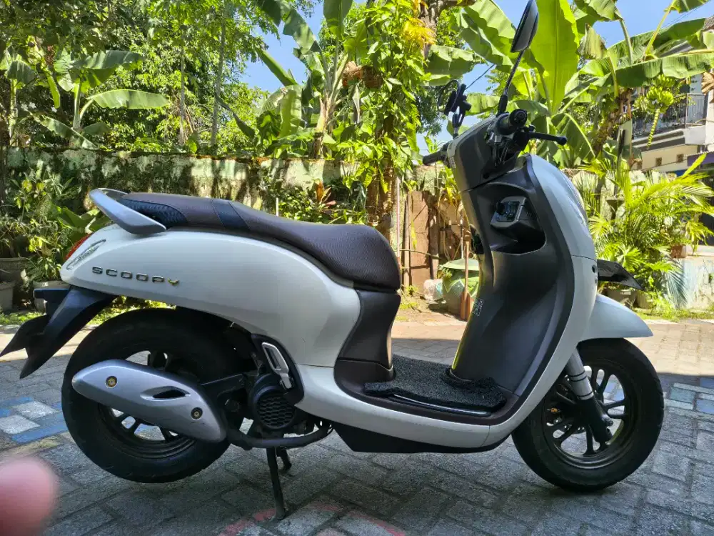 Scoopy Prestige 2022
