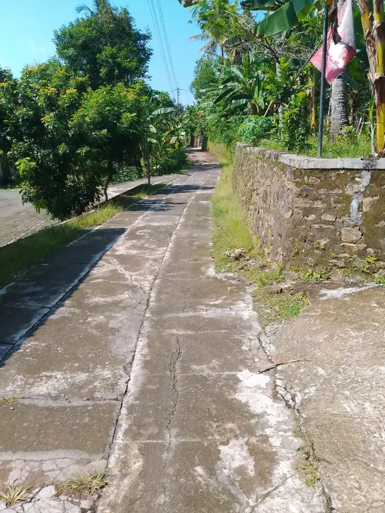 Dijual tanah cepat murah di Sedayu kab.bantul Yogyakarta